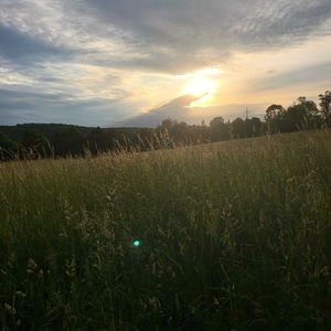 Meet your Posher, Dana